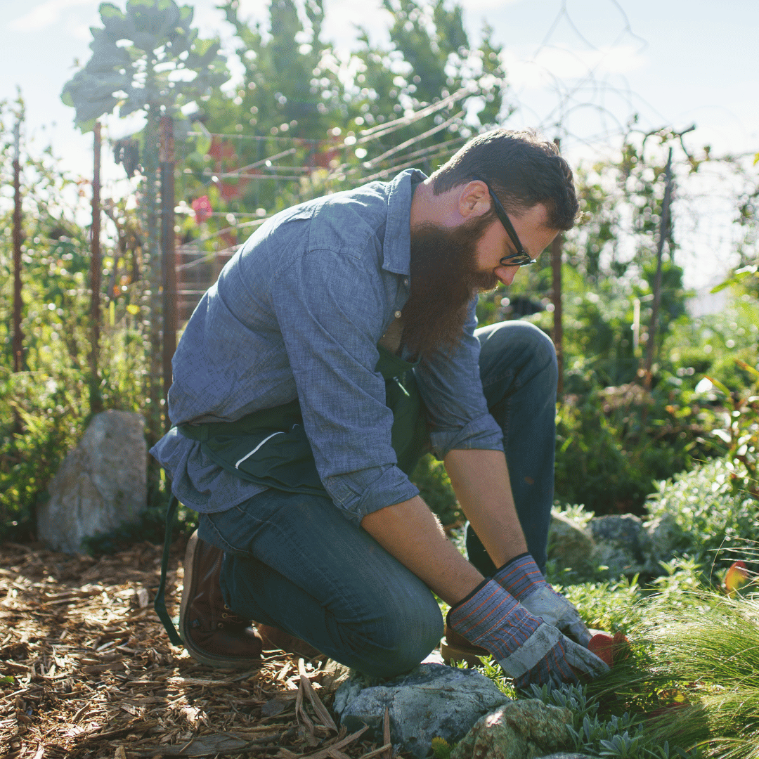 Stafftax | Domestic Employer's Checklist