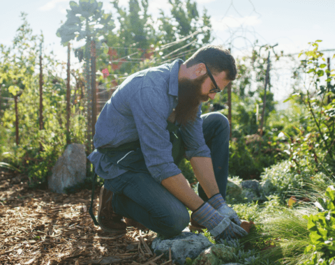 Stafftax | Domestic Employer's Checklist